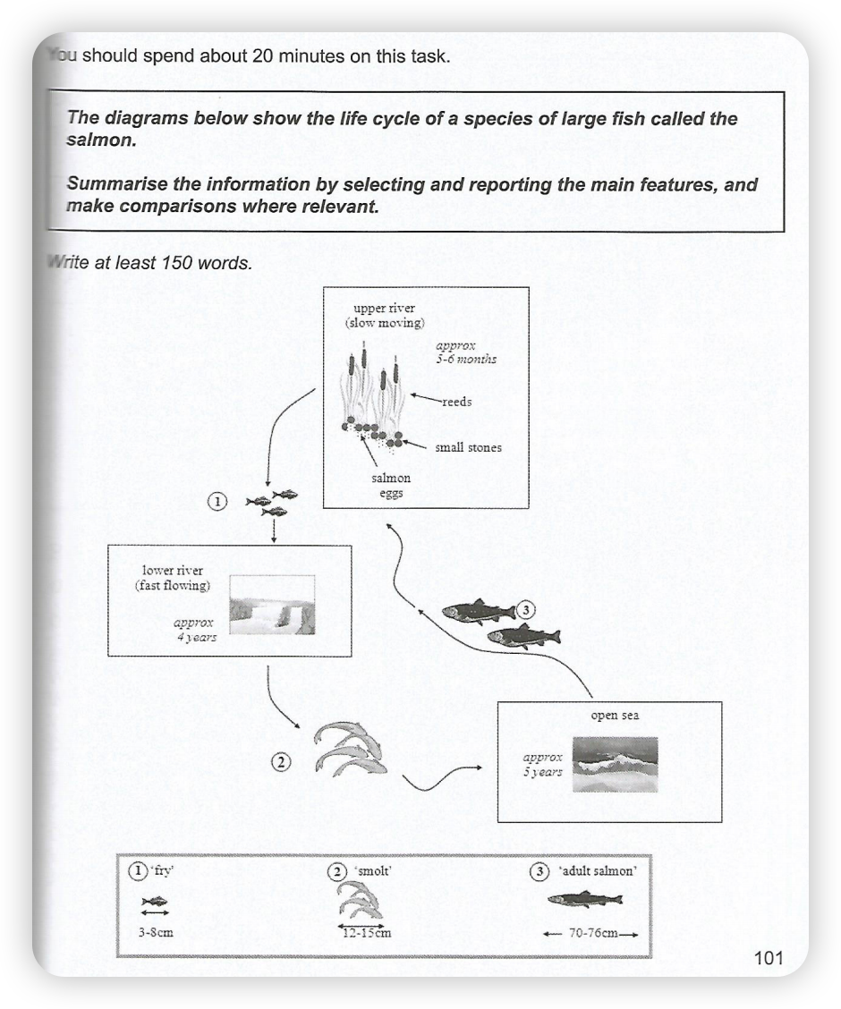 The life cycle of a salmon 题图